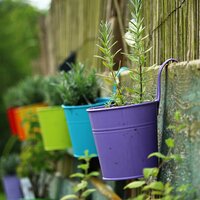 Pots & Container Growing