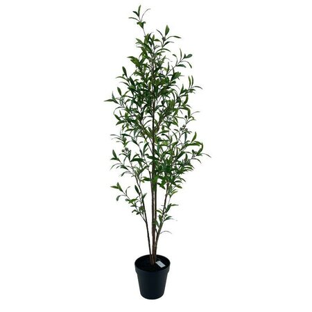 Potted Oleander Plant -Image courtesy of Elmes