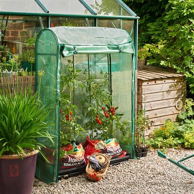Premium Tomato Growhouse - image 1