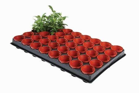 Professional Seed/Cutting Tray -Image courtesy of Unichem