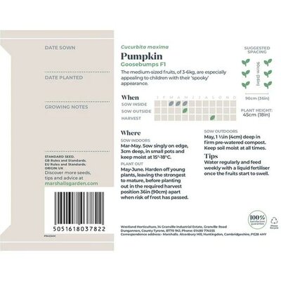 Pumpkin Goosebumps F1 (8) - image 2