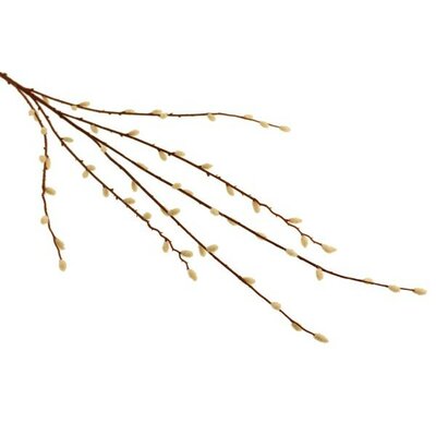 Pussy Willow Spray -Image courtesy of Sage Décor