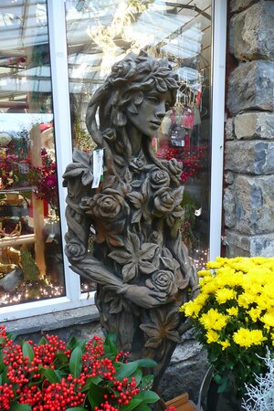 Queen Of Nature Ada - Photo taken at Ardcarne Garden Centre, Boyle – 17/10/2025