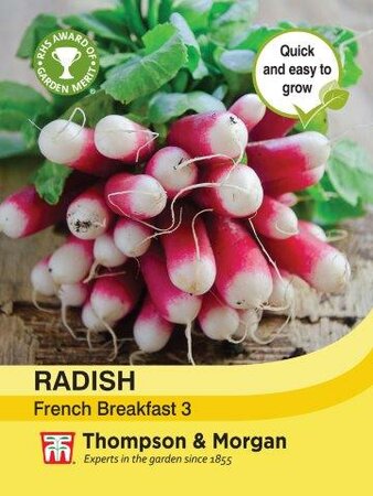 Radish French Breakfast 3 - image 1