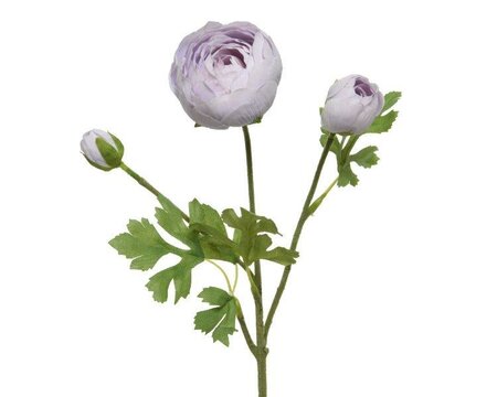 Ranunculus on stem polyester