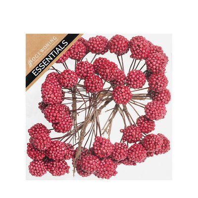 Raspberries Foam on Wire in Box (8)