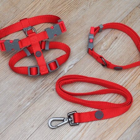 Red Standard Walkabout Dog Lead -Image courtesy of Smart Garden Products