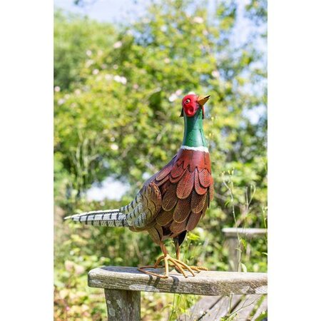 Regal Pheasant - image 2