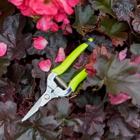 RHS Flower & Fruit Snip -Image courtesy of Burgon & Ball