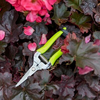 RHS Flower & Fruit Snip -Image courtesy of Burgon & Ball