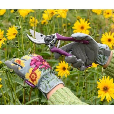 RHS Gift Gloves Asteraceae -Image courtesy of Burgon & Ball