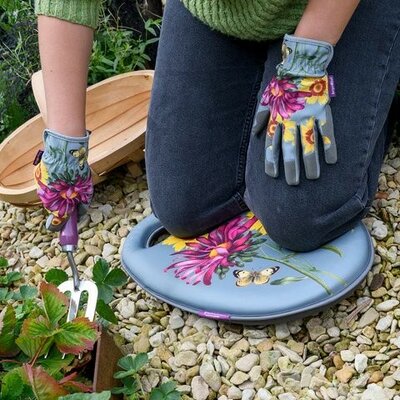 RHS Gift Kneelo® Asteraceae -Image courtesy of Burgon & Ball