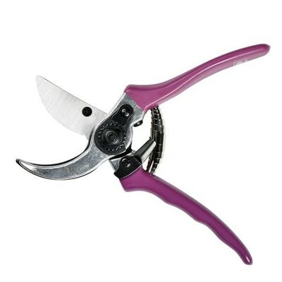 RHS Gift Secateurs -Image courtesy of Burgon & Ball