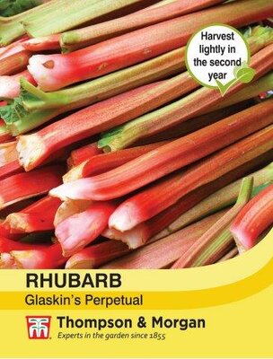Rhubarb - image 1