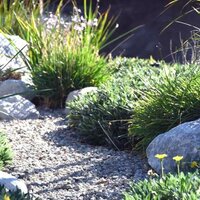 Rock/Gravel Garden Collection
