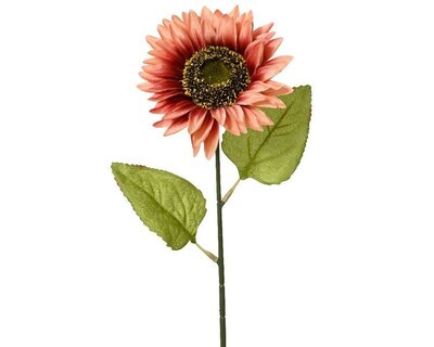 Rose Gold Sunflower on stem