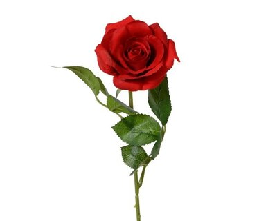 Rose on stem -Image courtesy of Kaemingk