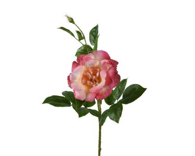 Rose Polyester