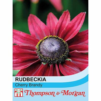 Rudbeckia Cherry Brandy - Image courtesy of T&M