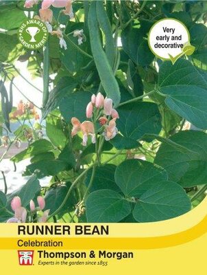 Runner Bean Celebration - image 1