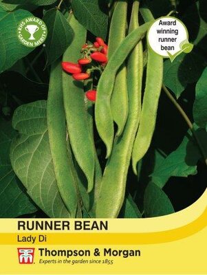 Runner Bean Lady Di - image 1