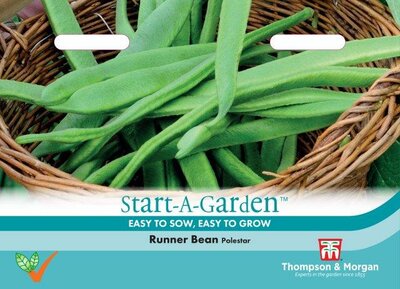 Runner Bean “Polestar” - image 1