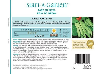 Runner Bean “Polestar” - image 2