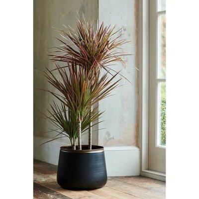 Sahara Sunset Floor Pot -Image courtesy of Burgon & Ball