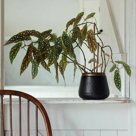 Sahara Sunset Plant Pot -Image courtesy of Burgon & Ball
