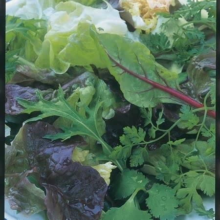 Salad Leaf Herb Mix