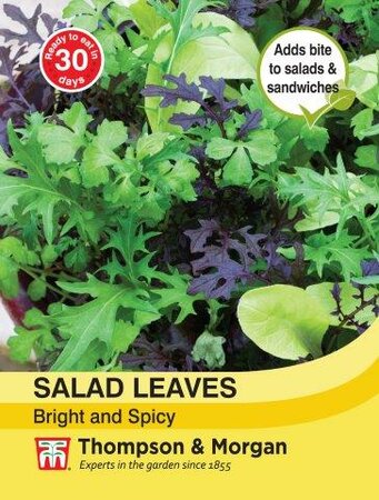 Salad Leaves - Bright and Spicy - image 1