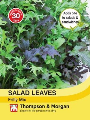 Salad Leaves Frilly Mix - image 2