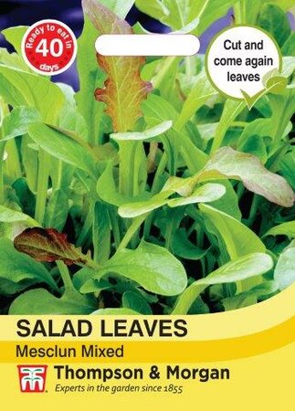 Salad Leaves Mesclun Mixed - image 1