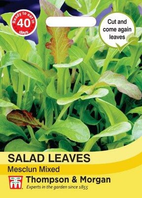 Salad Leaves Mesclun Mixed - image 1