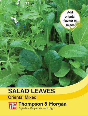 Salad Leaves - Oriental Mixed - image 1
