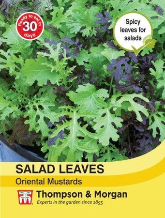 Salad Leaves - Oriental Mustards - image 1