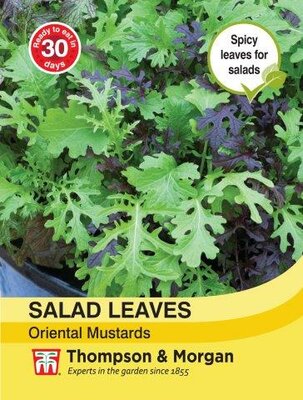 Salad Leaves - Oriental Mustards - image 2