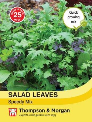 Salad Leaves - Speedy Mix - image 1