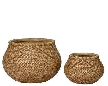 Sammie planter -Image courtesy of Kaemingk