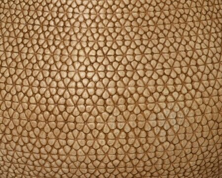 Sammie planter -Image courtesy of Kaemingk