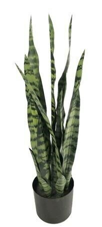 Sanseveria (artificial) -Image Courtesy of HBX