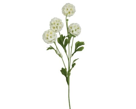 Scabiosa Spray  on stem -Image courtesy of Kaemingk