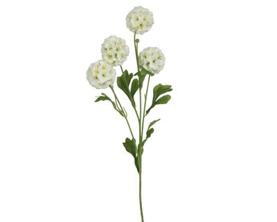 Scabiosa Spray  on stem -Image courtesy of Kaemingk