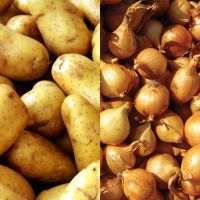 Sets, Bulbs & Tubers