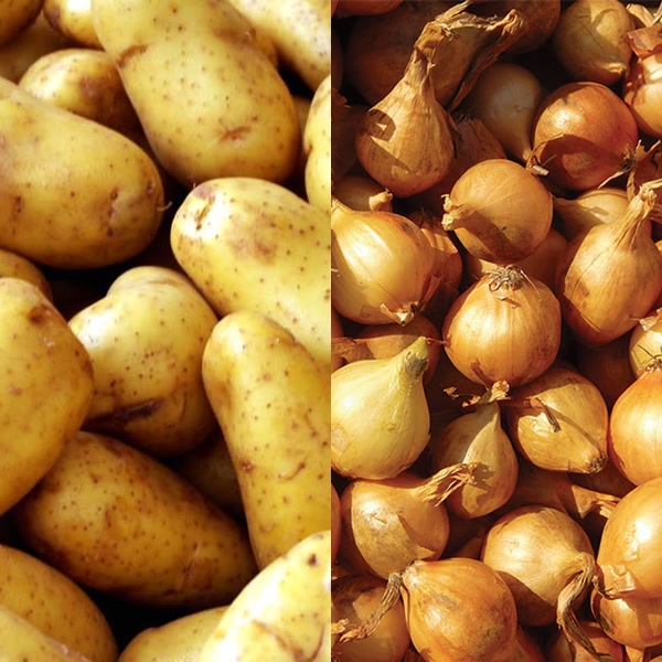 Seed Potatoes, Tubers and Onion Sets Ardcarne Garden Centre & Boyle