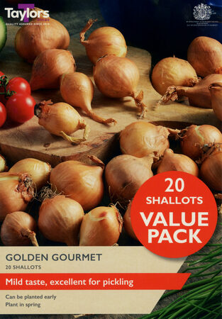 Shallot Sets Value Pack 'Golden Gourmet' - Image courtesy of Taylors Bulbs