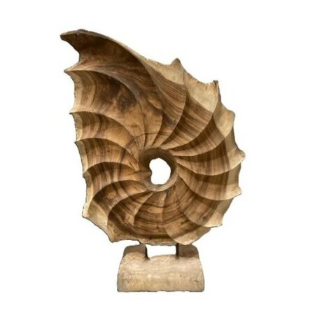 Shell Teak Kerang -Image courtesy of HBX Natural Living