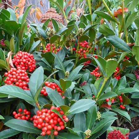 Photo taken at AGC Boyle 10/10/2025