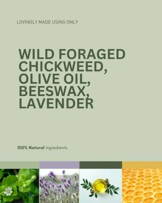 Skin Saver Lavender -Image courtesy of Forager