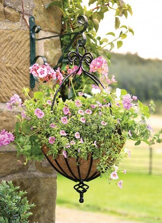Spanish Hanging Basket 35cm - Image courtesy of Tom Chambers